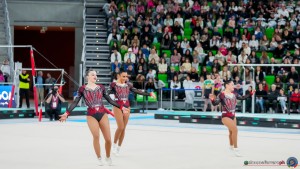 grand prix della ginnastica 0297 sfe05474 copia simone ferraro ph